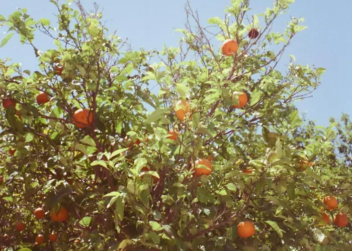 Villa Private Greek Island Estate With Vineyard, Exclusive Grounds & Hosted Experiences *